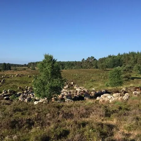 Apartmán Nordheidhaus - *